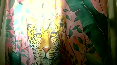 Bella Moon  online show from 02-01-26, 07:34