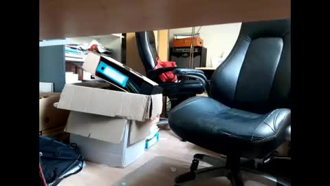 Bellebate online show from 04-23-26, 01:13