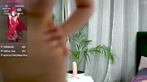 Belle online show from 02-12-25, 11:29