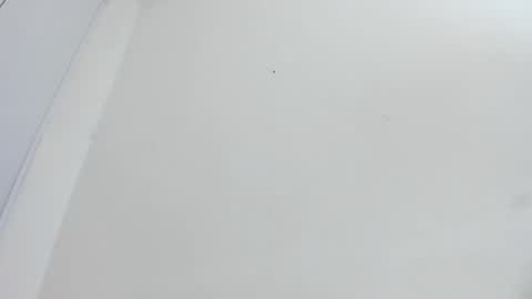 Snapshot of bellota_flak chatting on 12-15-25, 05:55 Bellota Flak online show from 12-15-25, 05:55