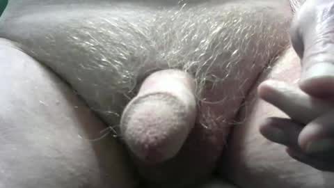 bender41 online show from 02-18-25, 04:58