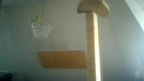 benizio online show from 01-15-25, 10:38