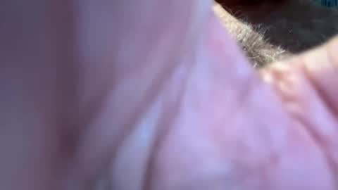 Snapshot of benz10001 chatting on 09-13-25, 12:49 benz10001 online show from 09-13-25, 12:49