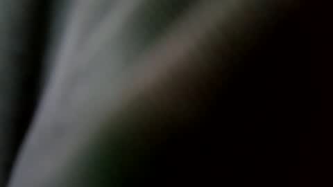 Snapshot of betohola chatting on 02-20-25, 09:09 Betco online show from 02-20-25, 09:09