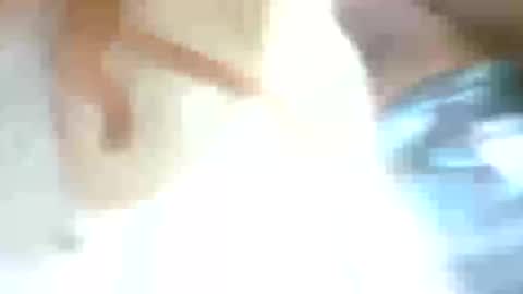 Snapshot of betohola chatting on 03-04-25, 03:33 Betco online show from 03-04-25, 03:33