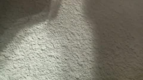 Bigfish123 online show from 03-12-25, 04:41