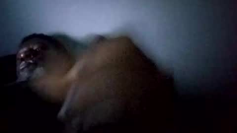 bi582945 online show from 02-14-26, 10:34