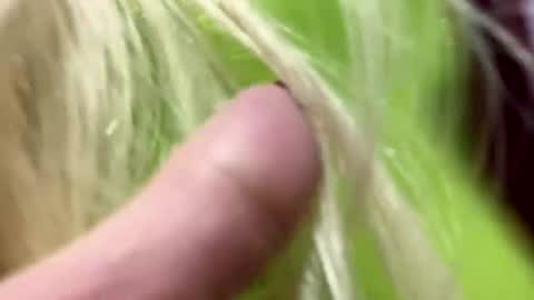 angela online show from 01-01-25, 06:05