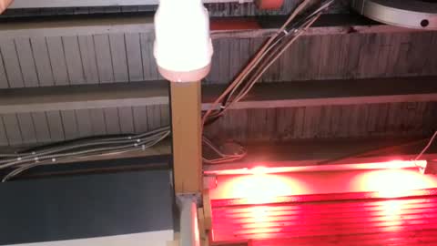 Snapshot of bigassman46 chatting on 10-09-25, 10:08 Straight Dave online show from 10-09-25, 10:08