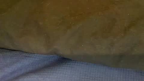 Snapshot of bigboii842 chatting on 11-15-25, 04:36 bigboii842 online show from 11-15-25, 04:36