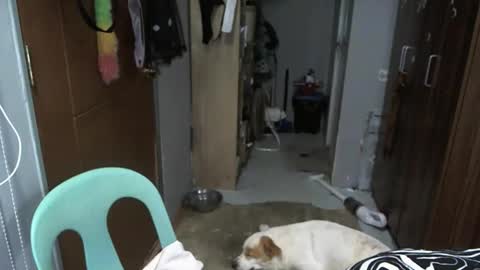 bigboobslyn online show from 05-20-26, 04:24