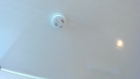   online show from 04-26-26, 10:02