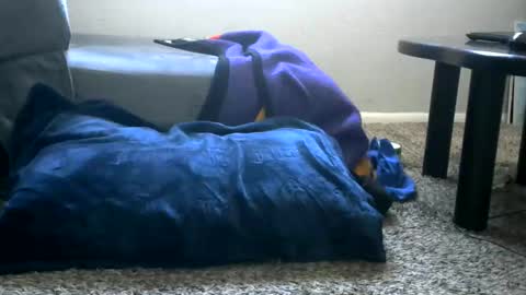 Snapshot of bigboybigbutt69 chatting on 05-25-26, 11:00 bigboybigbutt69 online show from 05-25-26, 11:00