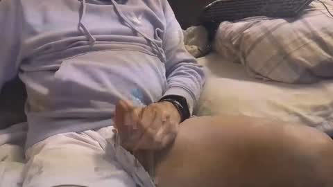 Snapshot of bigboytoy_12 chatting on 03-03-25, 04:58 L e g a l S t u f f Any UNAUTHORIZED use of this profile video pictures or audio in any form or in a forum now or in the fu online show from 03-03-25, 04:58