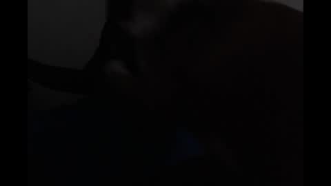 Bryson online show from 04-19-26, 06:10