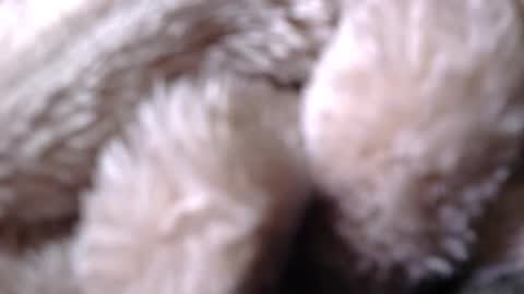 BigDad14140 online show from 04-26-26, 09:51