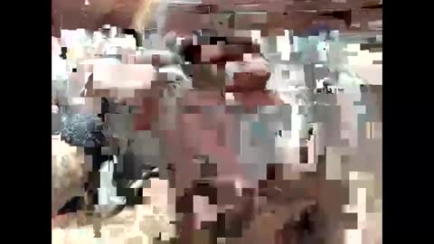 Snapshot of bigdaddy1231995 chatting on 09-15-25, 06:41 BigDaddykodack online show from 09-15-25, 06:41