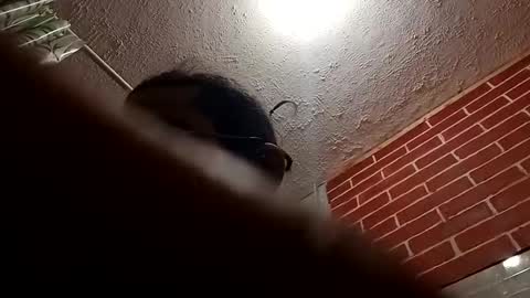 Snapshot of bigdaddy1231995 chatting on 10-28-25, 09:24 BigDaddykodack online show from 10-28-25, 09:24