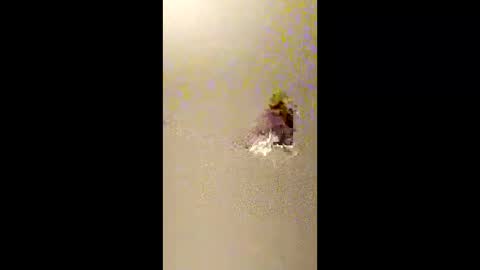 bigdaddydongarlets391292 online show from 02-13-26, 10:44