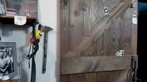 Snapshot of bigdbrillion chatting on 02-12-25, 04:23 Darryl online show from 02-12-25, 04:23