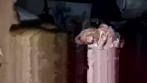 Snapshot of bigdickdaddy7201979564868 chatting on 11-23-25, 02:17 bigdickdaddy7201979564868 online show from 11-23-25, 02:17