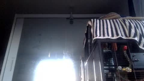 Snapshot of bigdickdangles472924 chatting on 09-19-25, 06:08 bigdickdangles472924 online show from 09-19-25, 06:08