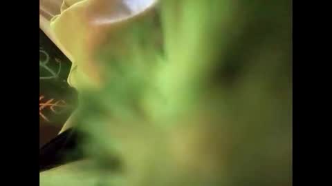 bigdickguy69690 online show from 02-22-25, 01:11