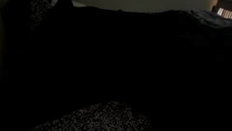 bigdickpapishampoo online show from 12-01-25, 02:00