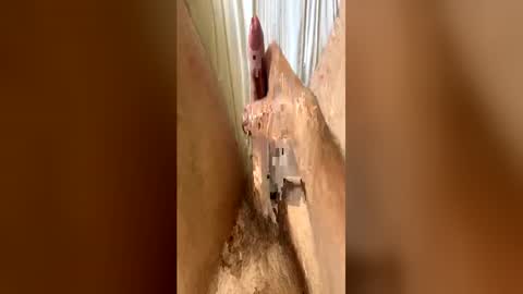 bigdickplaya_ online show from 06-23-26, 12:14