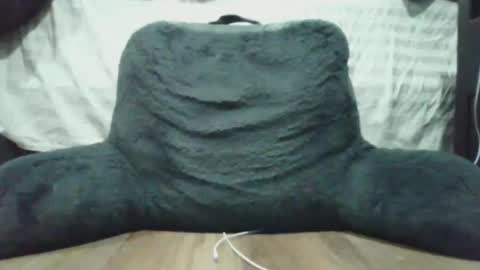 Snapshot of bigdyllpickle chatting on 01-08-26, 02:47 bigdyllpickle online show from 01-08-26, 02:47