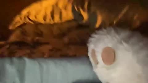 biggahhdihhh online show from 04-09-26, 09:26