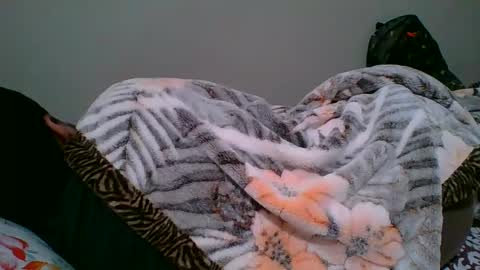 bighandsomesatisfy online show from 01-06-25, 08:18