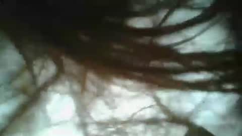 daddy online show from 01-19-25, 03:42