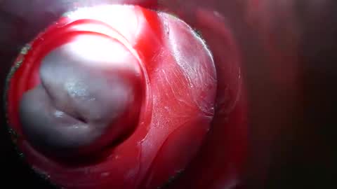 bigmoneycorey online show from 03-10-26, 03:50