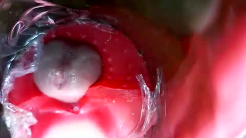 bigmoneycorey online show from 03-12-26, 07:31