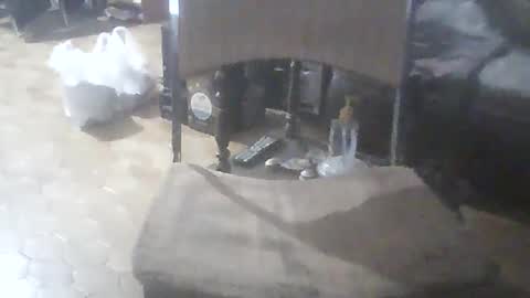 bigpenix online show from 02-07-26, 11:52