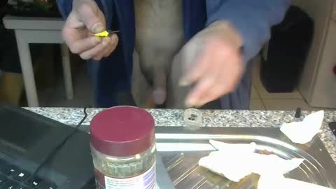 ...... online show from 01-22-25, 02:37