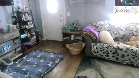 Skittles online show from 02-24-26, 05:22