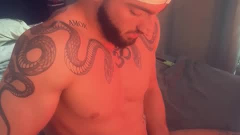 Snapshot of bigsnakeman1995 chatting on 11-26-25, 02:18 Gogo online show from 11-26-25, 02:18