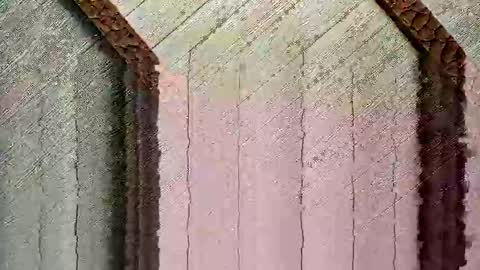 bigwytecock1979 online show from 12-24-24, 04:30