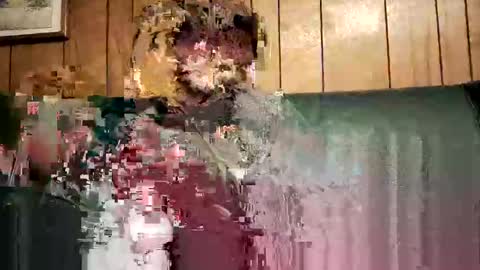 bigwytecock1979 online show from 02-03-25, 01:52