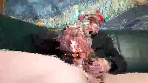 Snapshot of bigwytecock1979 chatting on 04-19-26, 06:32 bigwytecock1979 online show from 04-19-26, 06:32