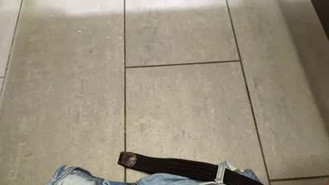 bill42012 online show from 04-26-26, 02:26