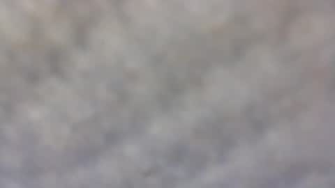 billmenow141 online show from 02-11-25, 10:04