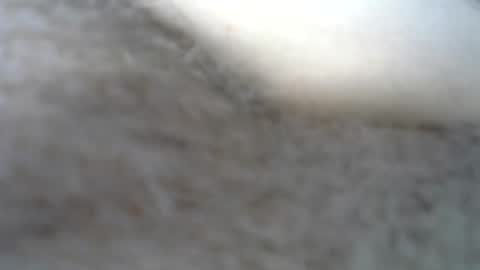 Snapshot of billpark20 chatting on 05-22-26, 02:30 billpark20 online show from 05-22-26, 02:30