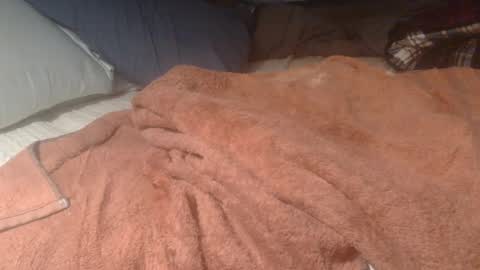 Snapshot of billyhuey12 chatting on 02-04-25, 06:04 NUMROUNO MACK online show from 02-04-25, 06:04