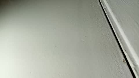 Bill online show from 01-19-25, 07:36