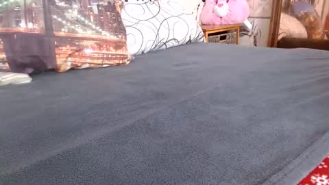 Bill online show from 02-17-26, 12:56