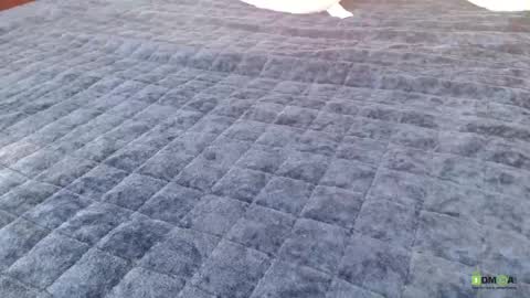 Bill online show from 04-23-26, 11:53