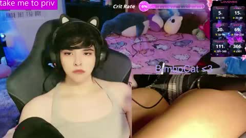 BimboCat online show from 02-03-26, 01:26